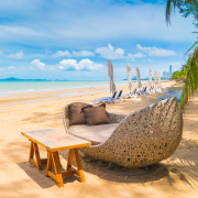  Vacation Image
